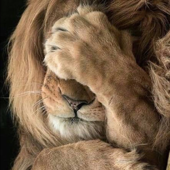 Meet your Posher, Sean - Picture 3 of 8